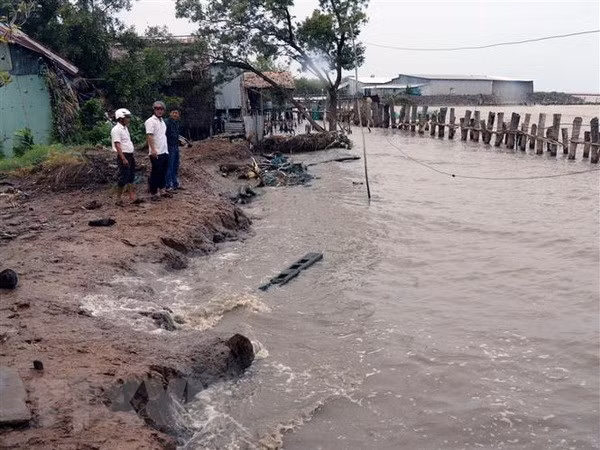 Colloque sur les mesures pour lutter contre l'érosion dans le delta du Mékong ảnh 1