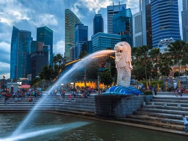 Singapour mobilise les intellectuels pour faire face aux défis du développement économique ảnh 1