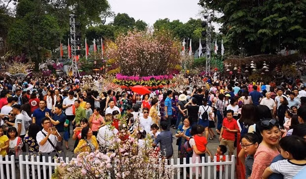 Bientôt le festival japonais de Kanagawa à Hanoï ảnh 1 Bientôt le festival japonais de Kanagawa à Hanoï ảnh 1