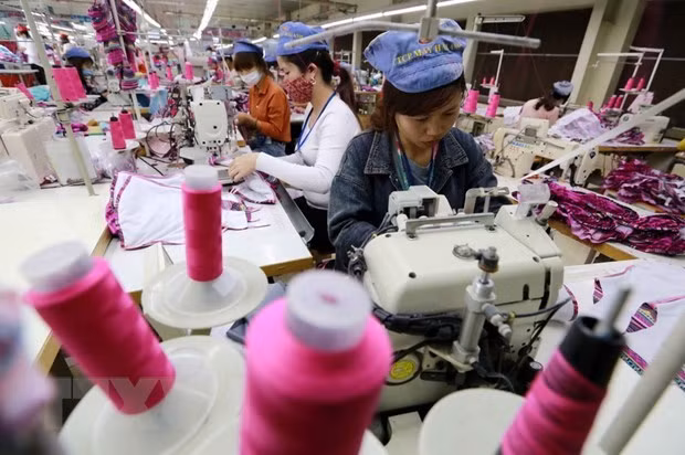 L'économie vietnamienne après 13 ans d'adhésion à l'OMC ảnh 2 L'économie vietnamienne après 13 ans d'adhésion à l'OMC ảnh 2