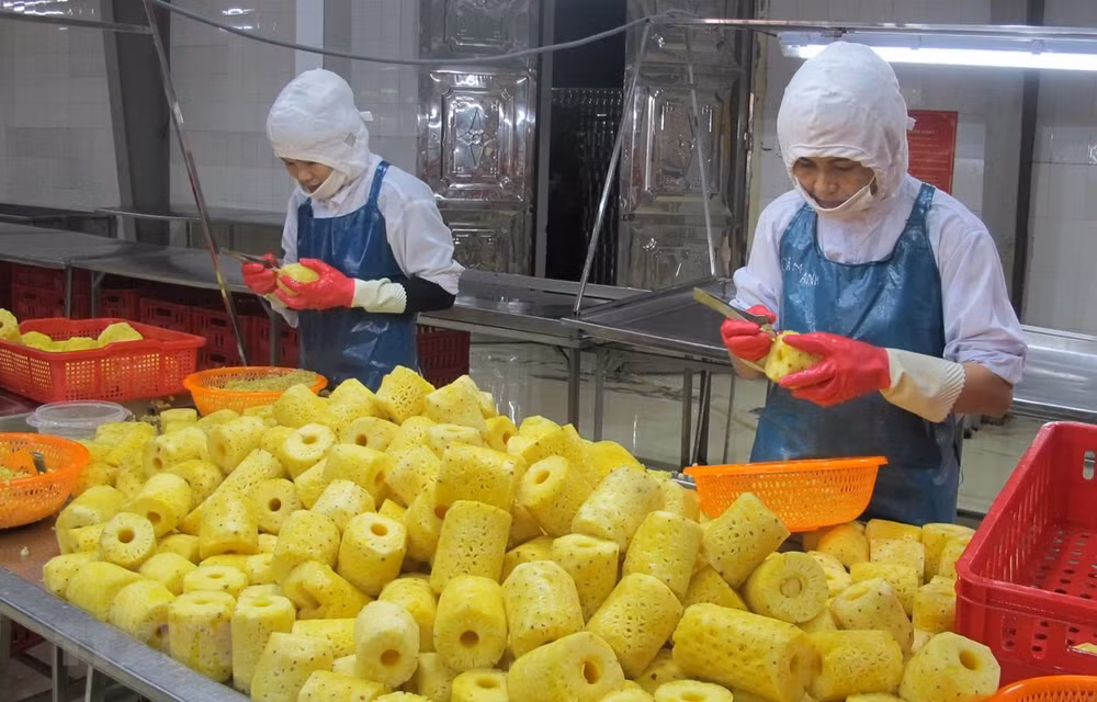 Le Vietnam et les Pays-Bas boostent la coopération dans le domaine de l'agriculture ảnh 1