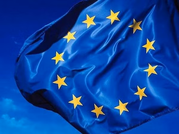 Entrée en vigueur officielle de l’accord de libre échange UE- Singapour ảnh 1