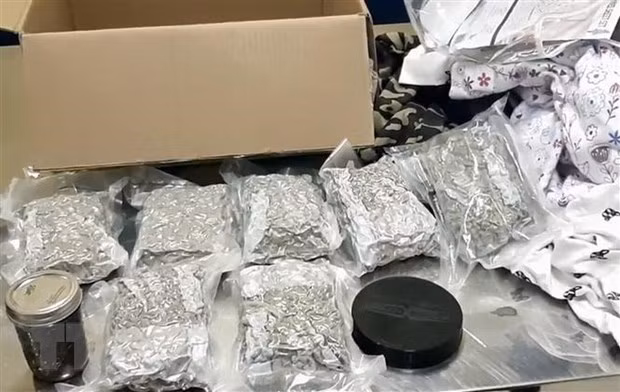 Diên Biên: Arrestation de trois trafiquants laotiens de drogue ảnh 1