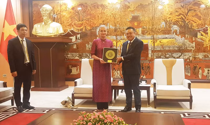 Hanoï : La préservation contribue au développement des valeurs de la Cité impériale de Thang Long ảnh 1 Hanoï : La préservation contribue au développement des valeurs de la Cité impériale de Thang Long ảnh 1