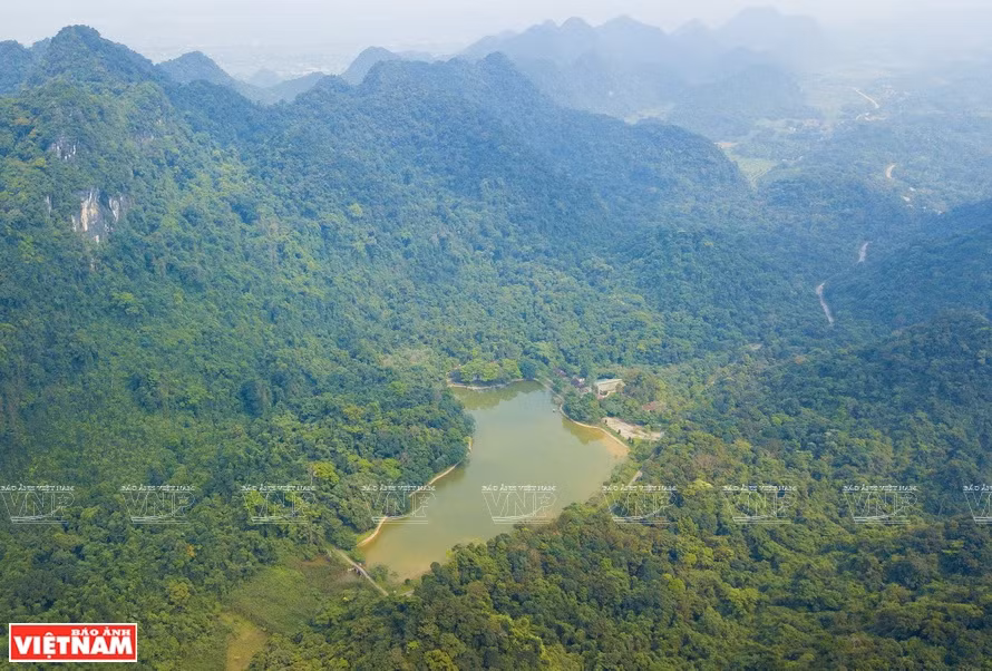 Cuc Phuong honoré pour la 4ème fois en tant que "Parc national le plus important d'Asie" ảnh 1
