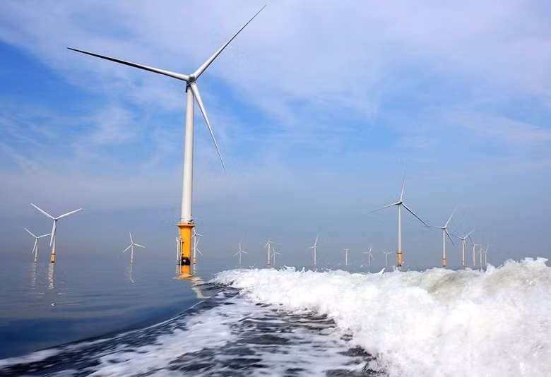 Une société française veut investir dans un projet éolien de 13 milliards de dollars à Ba Ria - Vung Tau ảnh 1