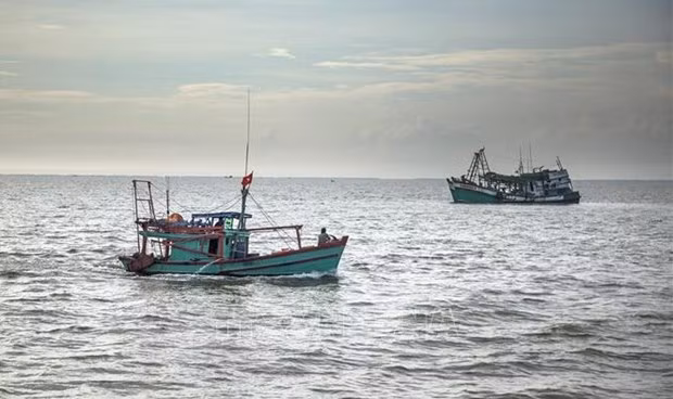 Le Vietnam renforce son système de contrôle des bateaux de pêche ảnh 1 Le Vietnam renforce son système de contrôle des bateaux de pêche ảnh 1