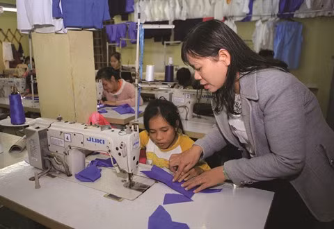 Le Vietnam œuvre pour les droits des handicapés ảnh 1 Le Vietnam œuvre pour les droits des handicapés ảnh 1