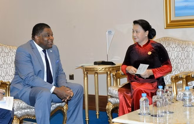 Le Vietnam donne la priorité aux activités de l'Union interparlementaire ảnh 1