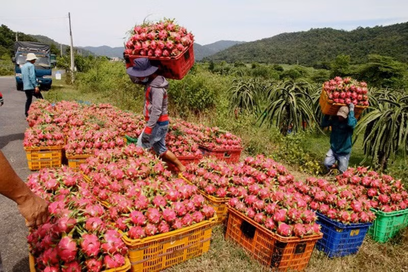 Vietnam-Chine: le commerce bilatéral établit un record ảnh 1