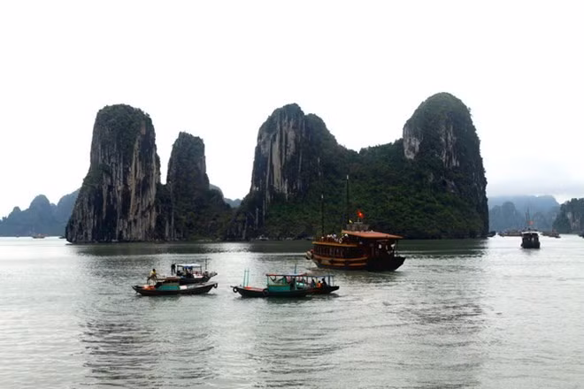 Quang Ninh souhaite devenir un centre régional de services de haute qualité ảnh 1