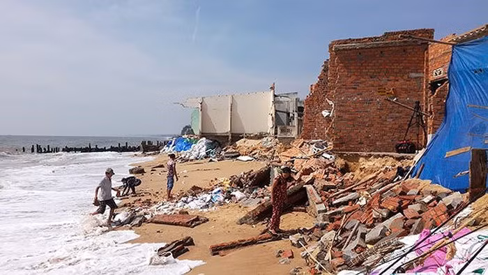 Aide gouvernementale pour la lutte anti-érosion côtière à Binh Thuân ảnh 1