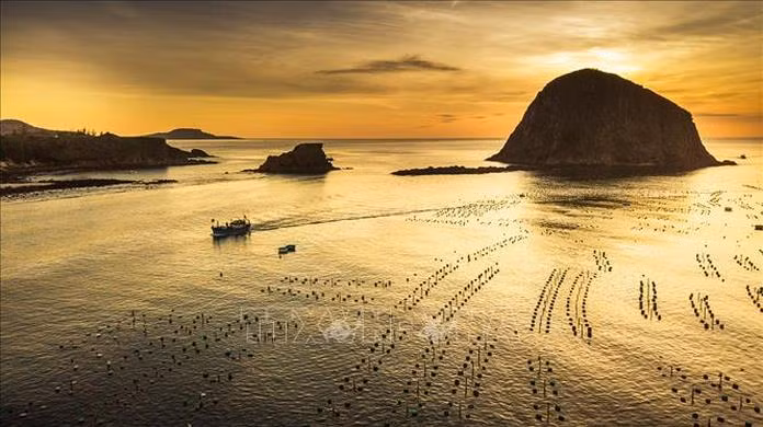 Phú Yên, une province littorale dotée de forts atouts touristiques ảnh 5