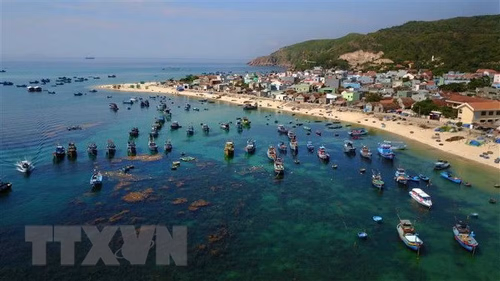 Le Vietnam appelle à des efforts pour lutter contre la pollution plastique ... ảnh 2