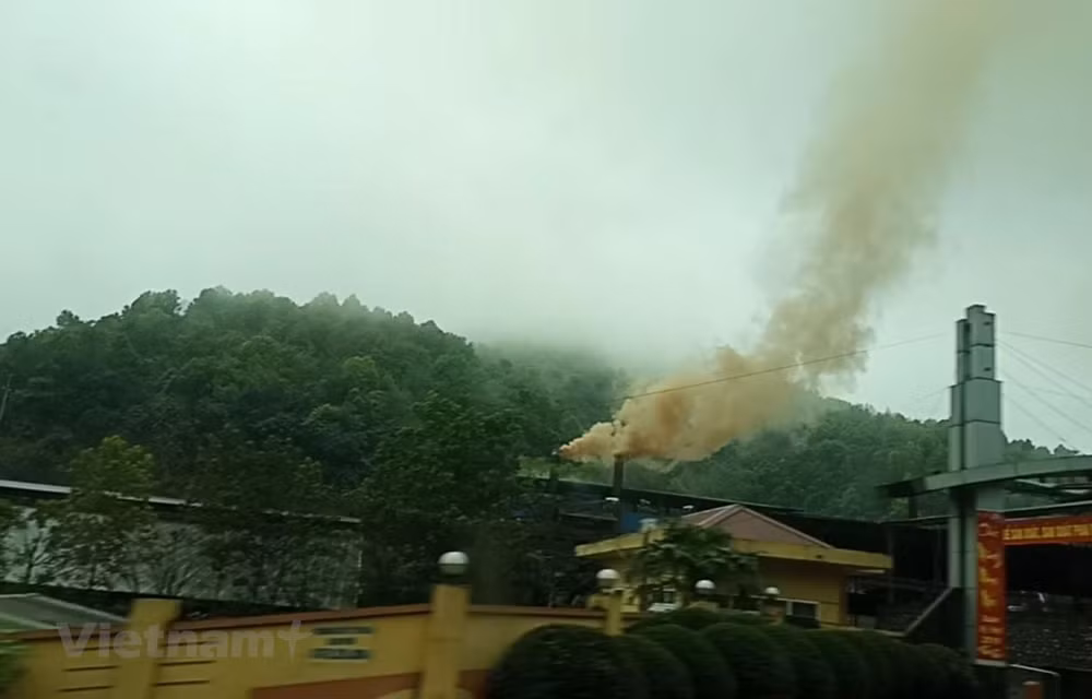 Le Vietnam se joint aux efforts mondiaux pour protéger la couche d'ozone ảnh 1 Le Vietnam se joint aux efforts mondiaux pour protéger la couche d'ozone ảnh 1
