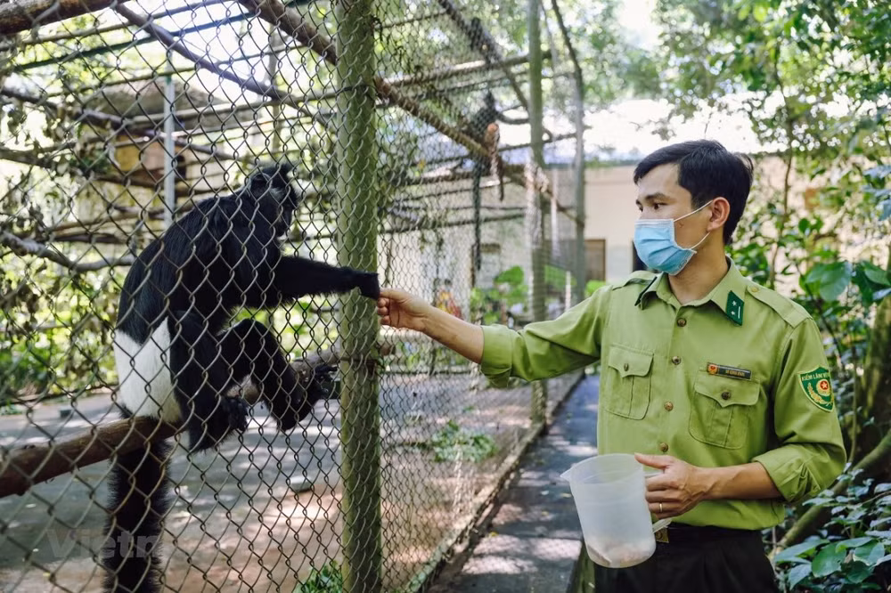 "Rentrer à la maison" - une visite sensibilise le public à la conservation de la nature ảnh 3