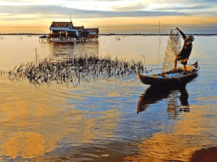 Le marais de Thi Tuong ảnh 2 Le marais de Thi Tuong ảnh 2