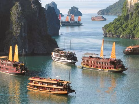 Le 7e art vietnamien mise sur la coopération cinématographique ảnh 2