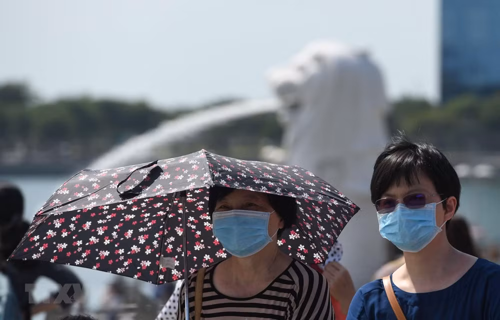 Nouveau coronavirus : plusieurs entreprises singapouriennes suspendent des activités en Chine ảnh 1 Nouveau coronavirus : plusieurs entreprises singapouriennes suspendent des activités en Chine ảnh 1