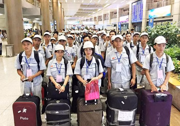 De plus en plus de Vietnamiens travaillent à l’étranger ảnh 1