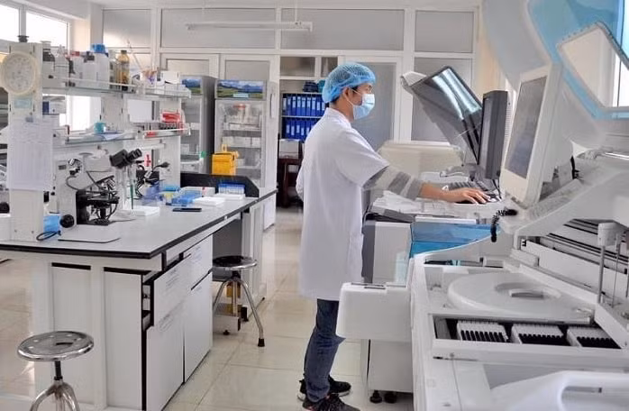 Le nombre de nouvelles entreprises poursuit sa dynamique de croissance en mai ảnh 1