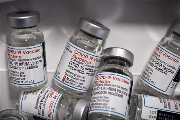 La FDA des Philippines approuve l'utilisation du vaccin anti-COVID-19 de Moderna pour les enfants ảnh 1