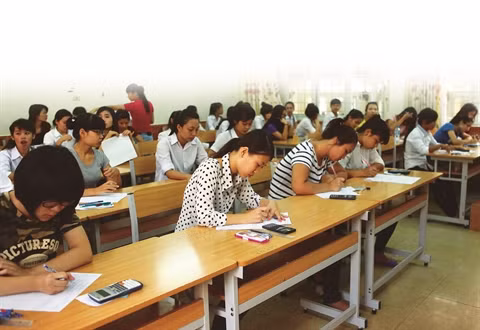 Le choix épineux des écoles et des métiers ảnh 1