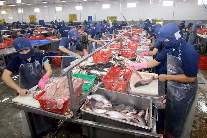 Le TPP accélèrera le rythme d'intégration du Vietnam ảnh 1