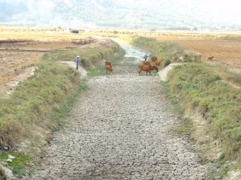 Déclaration Etats-Unis - Vietnam sur le Partenariat sur les changements climatiques ảnh 1 Déclaration Etats-Unis - Vietnam sur le Partenariat sur les changements climatiques ảnh 1