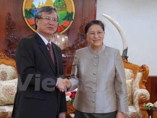 Une délégation de la Commission de contrôle du CC du PCV au Laos ảnh 1