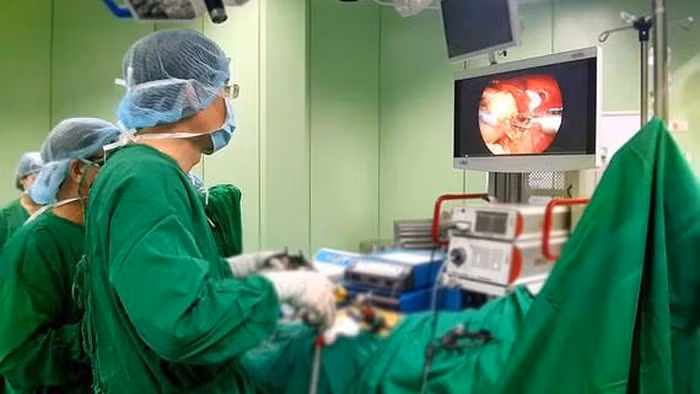 Trois scientifiques vietnamiens récompensés par le Prix Alexandre Yersin ảnh 1