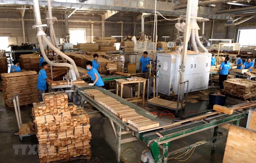 Les exportations de produits sylvicoles en hausse de 16% au premier trimestre ảnh 1