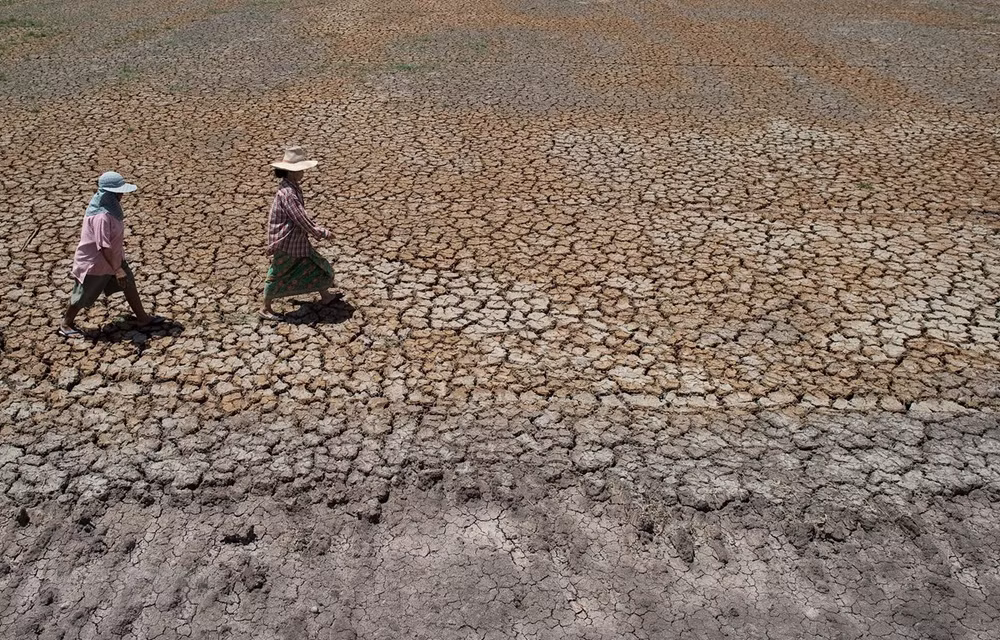 Thaïlande: la population est gravement touchée par la sécheresse et la salinisation ảnh 1