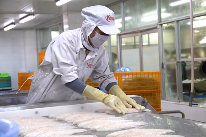 2,4 milliards de dollars des exportations de produits aquatiques en quatre mois ảnh 1