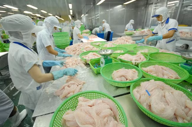 An Giang : plus de 276 millions de dollars des exportations de riz et de pangasius ảnh 1