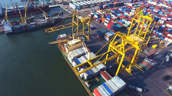 Des investisseurs néerlandais veulent investir dans les infrastructures portuaires au Vietnam ảnh 1
