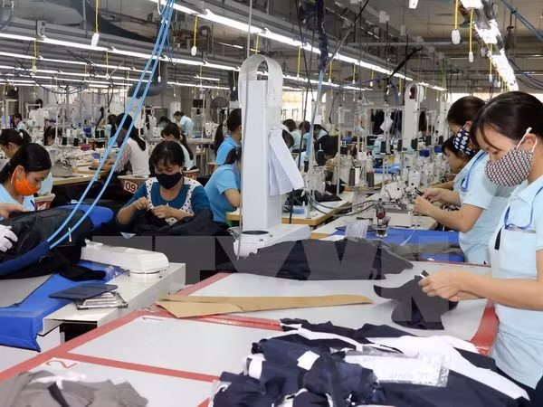 La croissance des exportations du secteur textile reste volatile ảnh 1 La croissance des exportations du secteur textile reste volatile ảnh 1