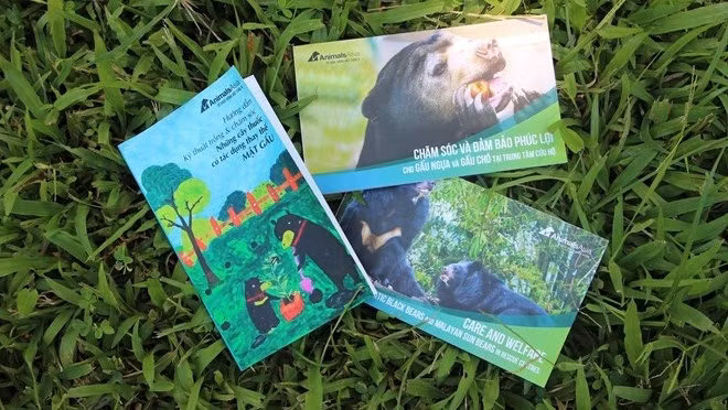 Des publications pour protéger les ours au Vietnam ảnh 1