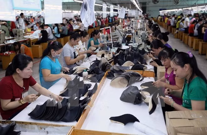 Les opportunités pour l'industrie vietnamienne du cuir et des chaussures abondent en 2018 ảnh 1 Les opportunités pour l'industrie vietnamienne du cuir et des chaussures abondent en 2018 ảnh 1
