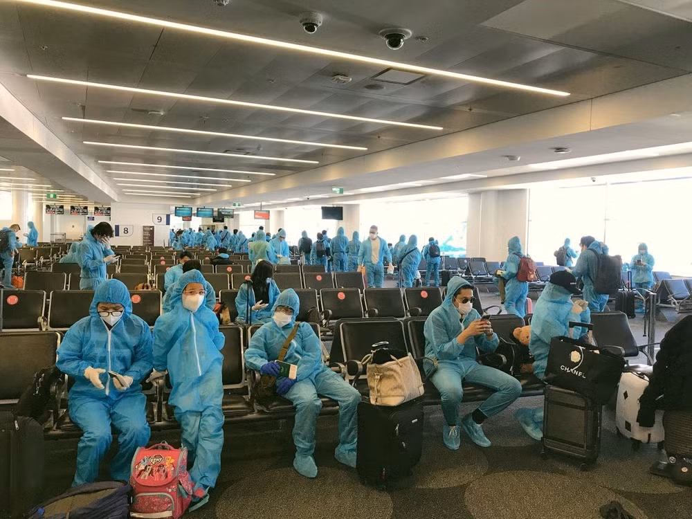 COVID-19 : environ 520 citoyens vietnamiens bloqués à l'étranger rapatriés ảnh 1