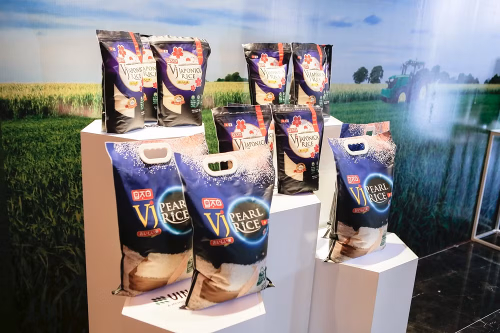 Les produits de riz de Vinaseed conquièrent le marché international ảnh 1 Les produits de riz de Vinaseed conquièrent le marché international ảnh 1