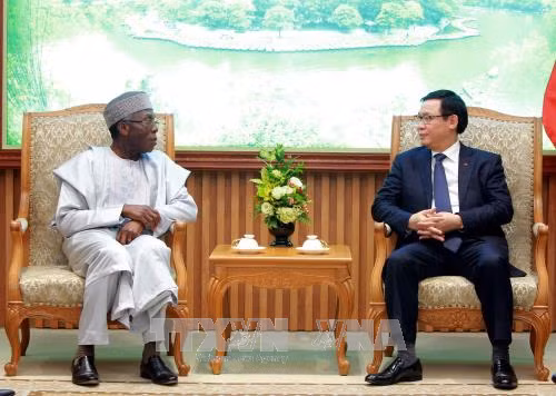 Le Vietnam souhaite développer la coopération multiforme avec le Nigeria ảnh 1