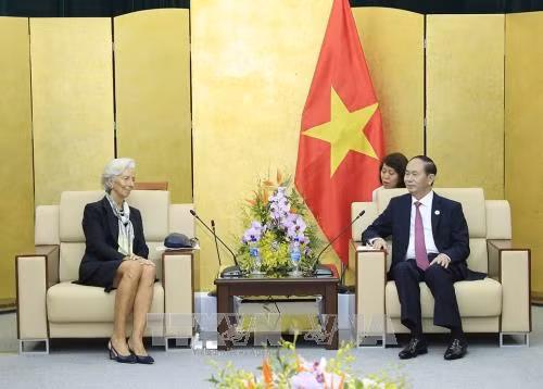 APEC 2017 : le chef de l'Etat reçoit la directrice générale du FMI ảnh 1