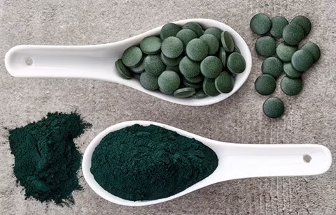 Des étudiants conçoivent un système de culture de spiruline à domicile ảnh 2