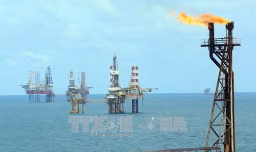 Les relations Russie-Vietnam se développent dynamiquement et efficacement ảnh 2