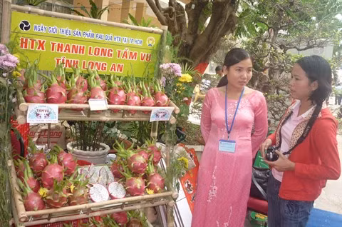 Long An s’oriente vers le développement d’une agriculture durable ảnh 2