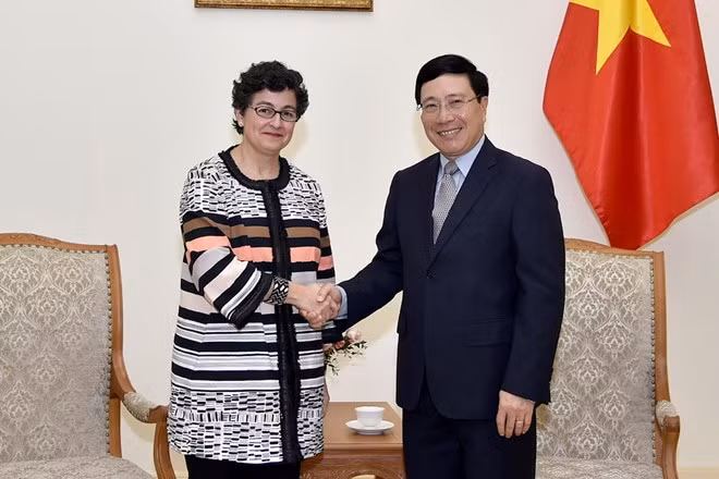 Le Vietnam veut davantage de soutien du Centre du commerce international ảnh 1