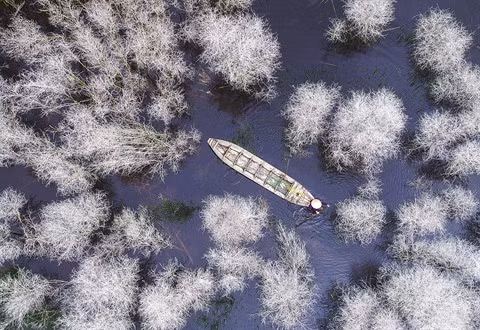 Savour Vietnam, un concours pour immortaliser la beauté du pays ảnh 1