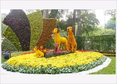 Festival des fleurs de Tao Dàn, retour au printemps au Sud ảnh 1