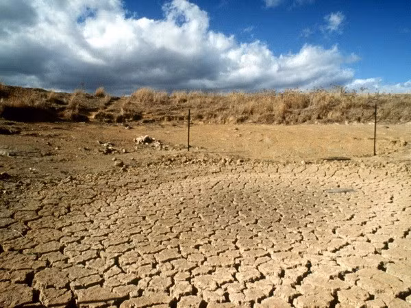 Le Vietnam conjugue les efforts communs pour faire face aux changements climatiques ảnh 1